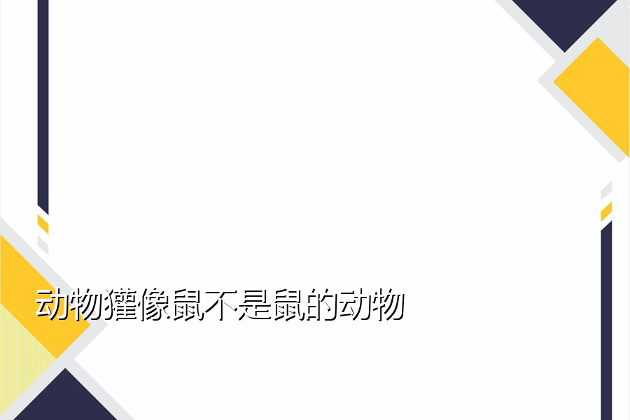 动物獾像鼠不是鼠的动物