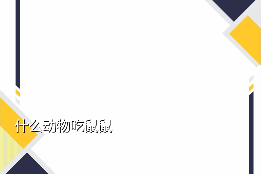 什么动物吃鼠鼠