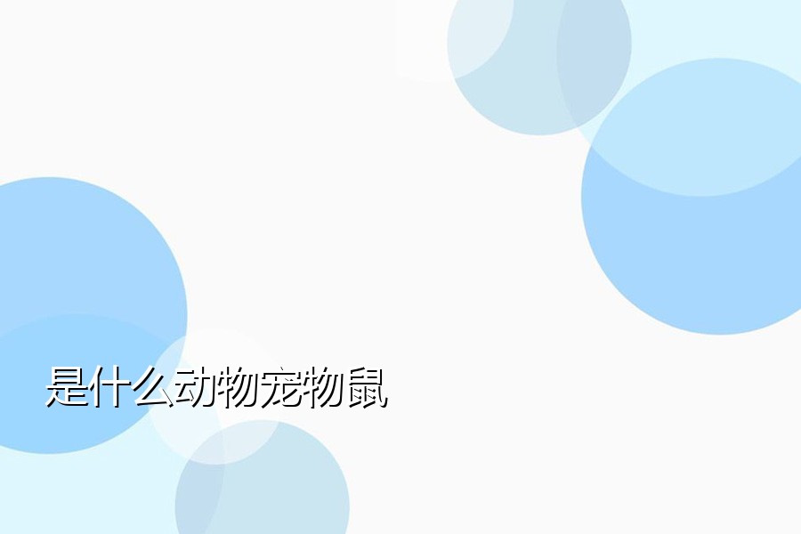 是什么动物宠物鼠
